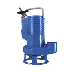 ZEN-DGBLUEP100/2/G40VTEX - PUMP BLUE PRO 415V IECEX