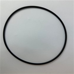BIA WP10 15 O RING 159X4 BIA-WP10-15