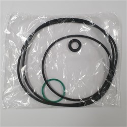 ORING/GASKET
