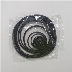 DABSSP00002081 O RING KIT DABS SP00002081