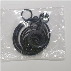 DABSSP00002239 O RING KIT DABS SP00002239