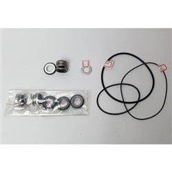 BIA-B42ACSEALKIT 33,35,39,40,42,43 BIA B42AC SEAL KIT