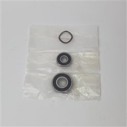BIA-B42ACBEARINGKIT 28,29,31 BIA B42AC BEARING KIT