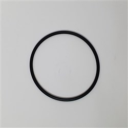 BIA-TOP CAS ORING B75VAS2 - TOP CASING ORINGB75VAS2 (21)