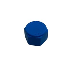 Atlas Filtri ATL-NYLONPLUG 1/2" Female Nylon Blue to suitBig F Pro Systems