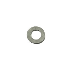 Atlas Filtri ATL-PLUGGASKET Drain Plug Gasket for Housing to suit Big F Pro Systems