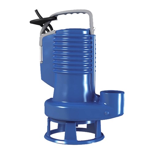 600573 - ZEN-DGBLUEP75/2/G40VMG - PUMP BLUE PRO 240V