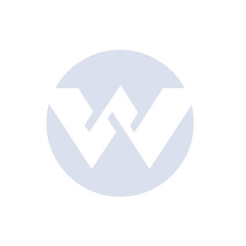 BEARING 6202ZZ/Z2 BIANCO INOX60S2 BIA-INOX60S2-21