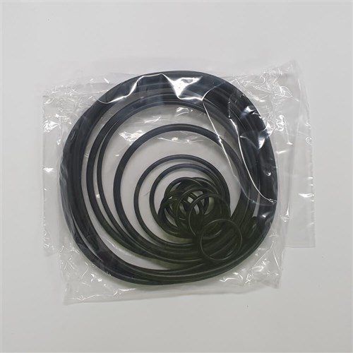 DABSSP00002081 O RING KIT DABS SP00002081